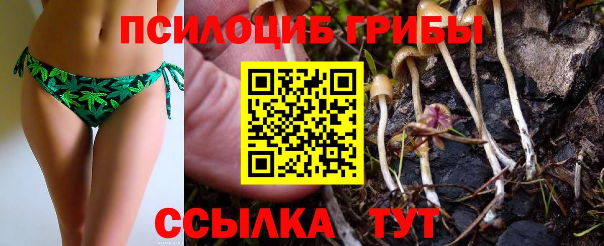Рубцовск  Псилоцибиновые грибы Magic Shrooms  Вход с VPN  Галлюциногенные грибы GOLDEN TEACHER 