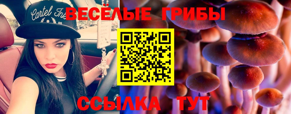 Галлюциногенные грибы мицелий Рубцовск